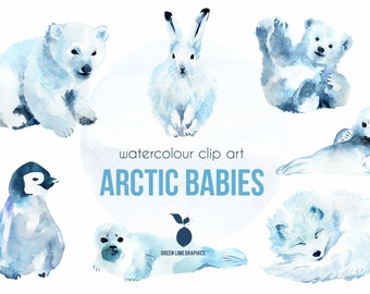Watercolor Christmas Animals Clipart: Polar Bear, Penguin, Fox (PNG Digital Download)