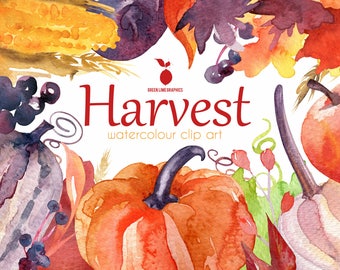 Clipart del raccolto ad acquerello, Clipart autunnale, Raccolto, Autunno, Zucche, Mercato degli agricoltori, Ringraziamento, Verdure