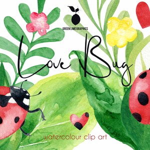 LoveBug Clipart, Acuarela Mariquita Clipart, Mariquita Clipart, Verano Clipart, Insecto png, Amor Clipart, Insectos, Vida Silvestre, Naturaleza, San Valentín