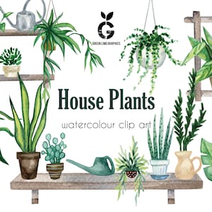 Watercolor House Plant Clipart: Boho Indoor Plants PNG (Digital Download)
