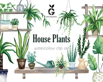 Watercolor House Plant Clipart: Boho Indoor Plants PNG (Digital Download)
