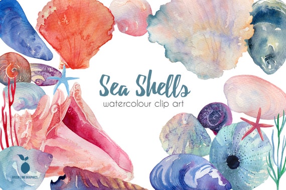 Watercolor Sea Shells Clipart: Beach Summer Art (Digital Download)