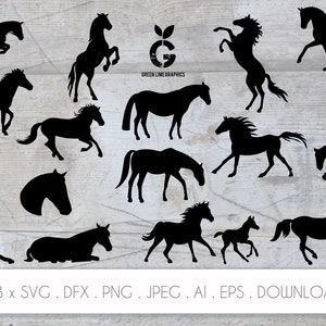 Paard svg, paarden vector, paard cricut bestanden, paard silhouet, paarden gesneden bestand, ruiter cricut, DXF, PNG, download
