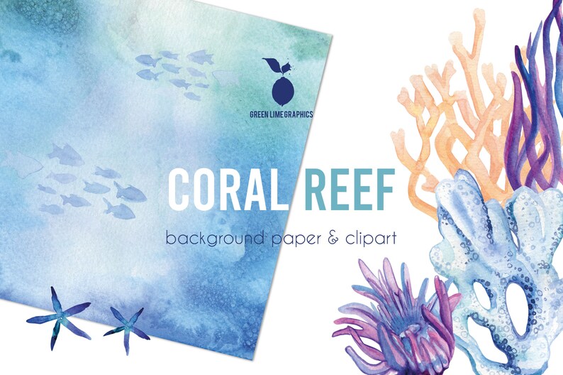 Clipart di barriera corallina ad acquerello: oceano marino PNG (download digitale) immagine 3