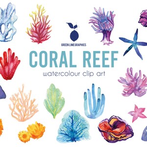 Clipart di barriera corallina ad acquerello: oceano marino PNG (download digitale) immagine 7