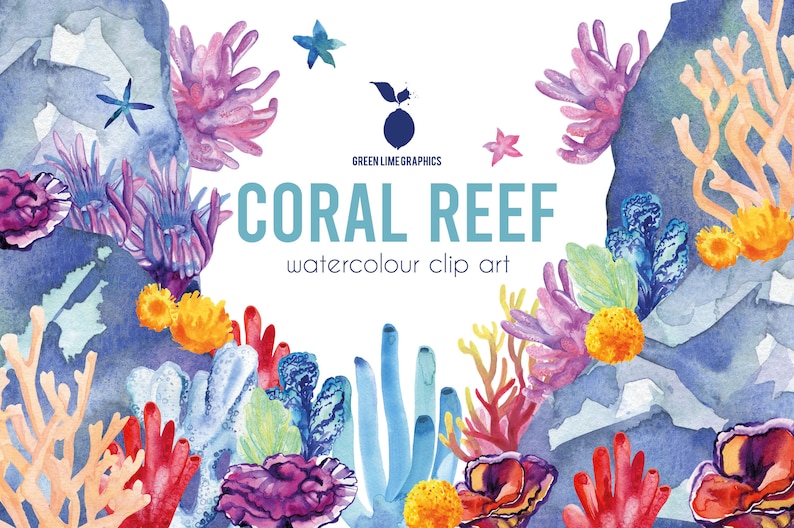 Clipart di barriera corallina ad acquerello: oceano marino PNG (download digitale) immagine 6