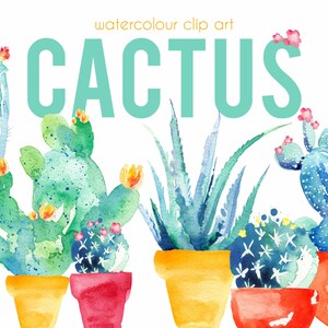 Clipart cactus aquarelle, clipart cactus aquarelle, clipart succulentes