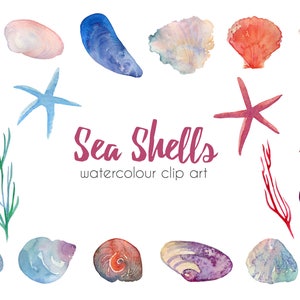 K&ouml;nnte beinhalten: Aquarell-Clipart mit einer Auswahl an Muscheln in Blaut&ouml;nen, Rosa, Lila und Orange. Das Bild enth&auml;lt auch zwei Seesterne und ein paar Seegras-&Auml;ste. Der Text "Sea Shells" und "watercolour clip art" ist im Bild enthalten.
