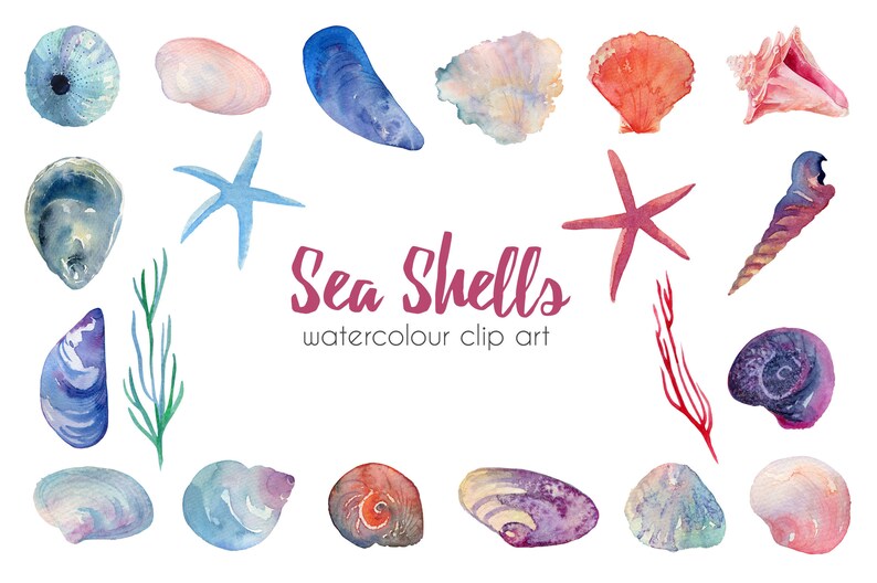 K&ouml;nnte beinhalten: Aquarell-Clipart mit einer Auswahl an Muscheln in Blaut&ouml;nen, Rosa, Lila und Orange. Das Bild enth&auml;lt auch zwei Seesterne und ein paar Seegras-&Auml;ste. Der Text "Sea Shells" und "watercolour clip art" ist im Bild enthalten.