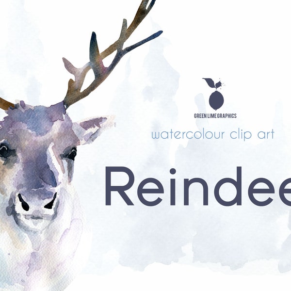 Aquarelle Renne Clipart, Cerf, Noël Cerf Clipart, Renne nordique, Laponie clipart, Renne sami traditionnel, Hiver, PNG