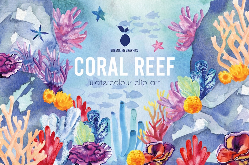 Clipart di barriera corallina ad acquerello: oceano marino PNG (download digitale) immagine 5