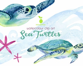 Watercolor Sea Turtle Clipart: Ocean Creatures (Digital Download)