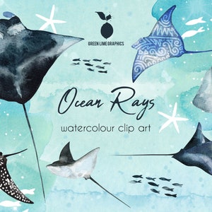 Stachelrochen Clipart, Aquarell Mantaray, Meeresstrahlen, Mantaray PNG, Stachelrochen PNG, Ozean Clipart, Meerestiere png, Ozean png