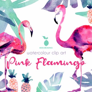 Clipart de acuarela de flamenco rosa: piña tropical e hibisco (PNG)