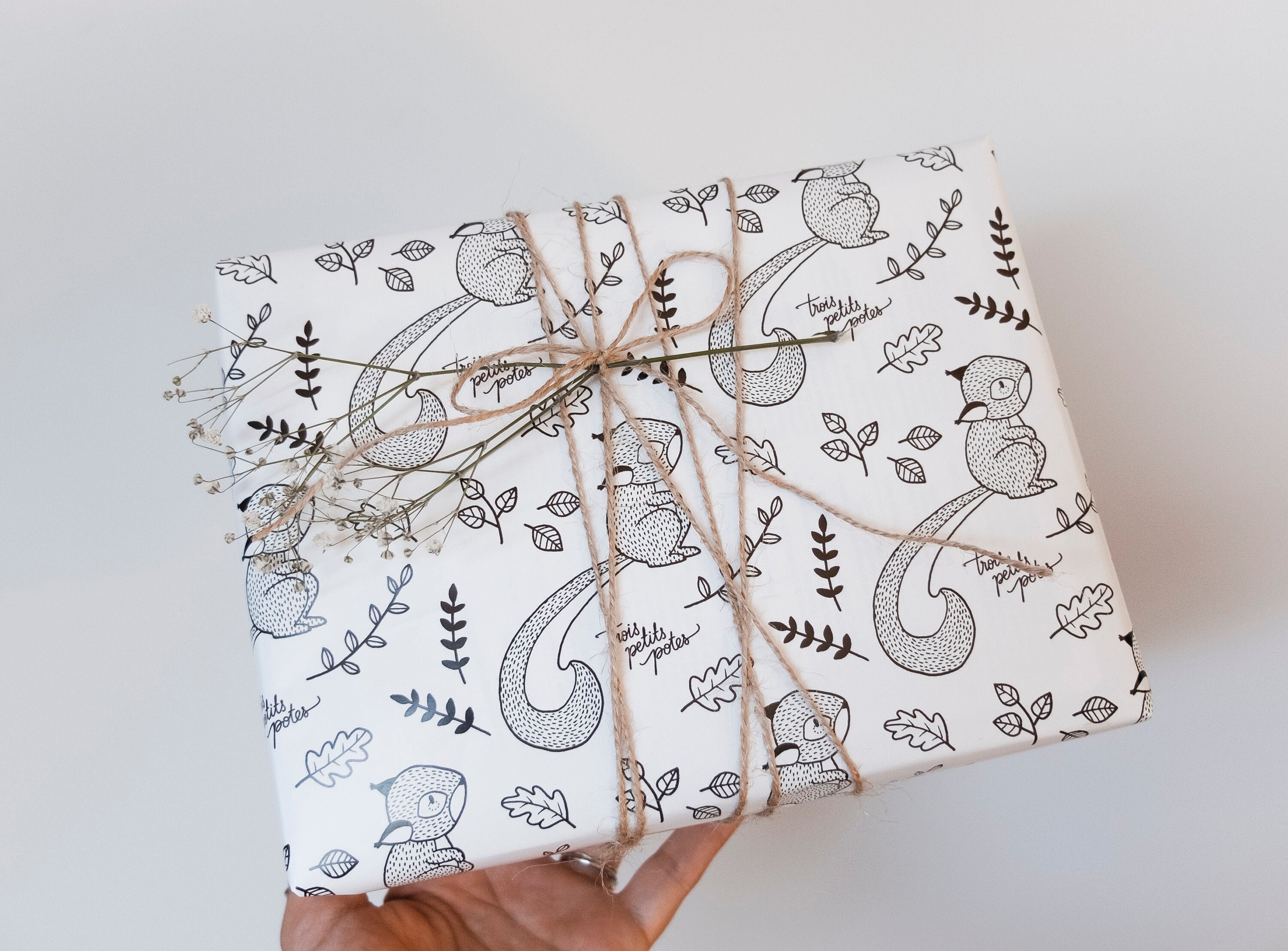 Sassy Squirrel Kraft Present Gift Wrap Wrapping Paper 