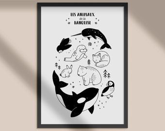 Polar Animals – Poster – Wall Decoration for Babies and Children – Trois Petits Potes