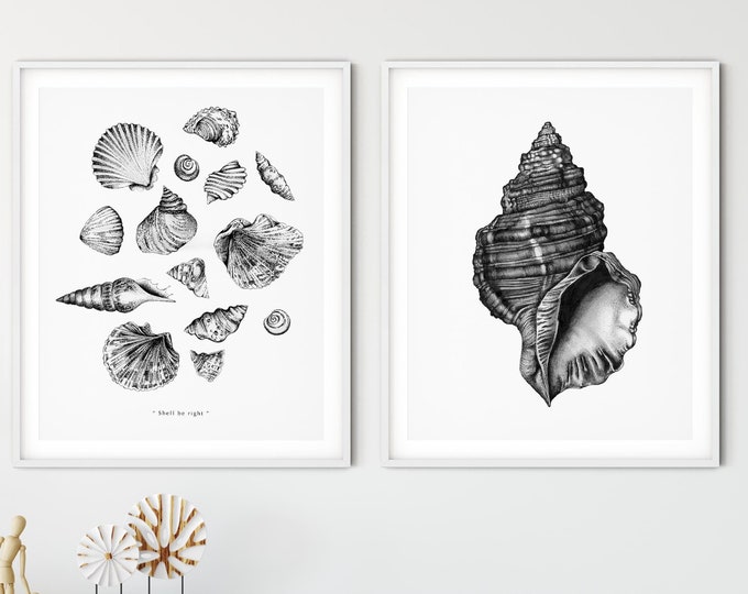 Featured listing image: Ocean Shells Ink Art Print Bundle - Limited Edition Nautical Illustrations