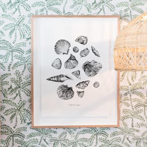 Conch Ocean Shell Ink Art Print | Limitowana edycja ilustracji morskich | Ręcznie wykonane szczegółowe rysunki muszli morskich