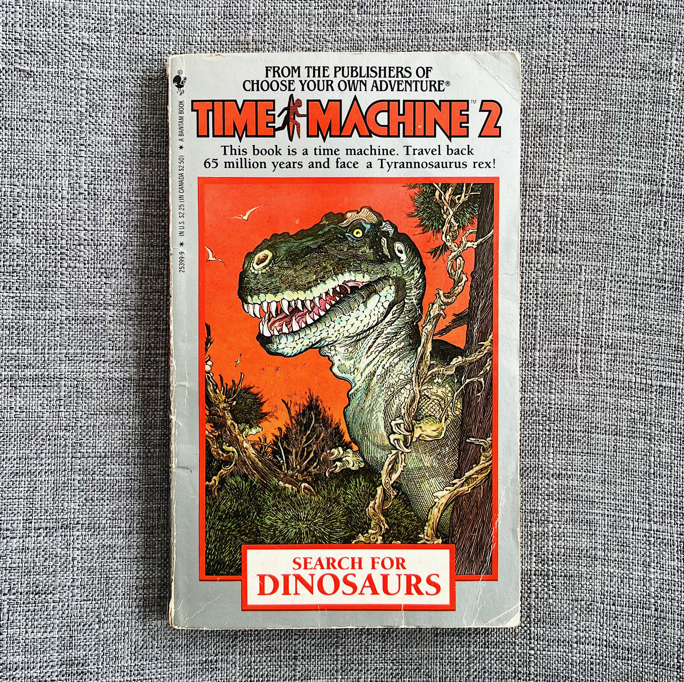 1980s Time Machine Paperback Books Boxed Set, Choose Your Own Adventure Box  Set, Time Travel Books, Young Adult Books, Free Shipping 