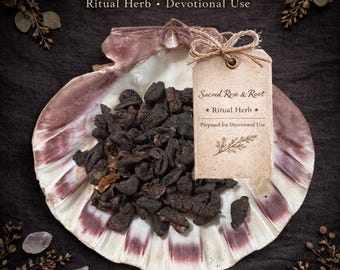 Alma Berries - Cleansing • Calm • Steady Prosperity - Ritual Herb | Sacred Rose & Root