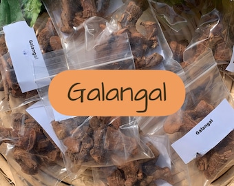 Galangal Root, Low John the conqueror Herb - Law, Legal, Court Case for Witchcraft Hoodoo Voodoo Wicca Pagan Rituals Spells