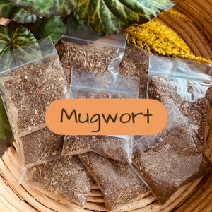 Mugwort Herb - Strength, Psychic Power, Protection, Dreams, Astral Projection for Witchcraft Hoodoo Voodoo Wicca Pagan Rituals Spells