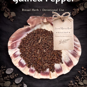 May include: An image featuring Guinea Pepper, a ritual herb, presented in a large seashell. The text on the image reads "Sacred Rose & Root" and "Ritual Herb, Devotional Use". A small tag tied to the shell also reads "Sacred Rose & Root, Ritual Herb, Prepared for Devotional Use."