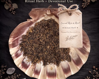 Irish Moss – Prosperity • Luck • Protection – Ritual Herb | Sacred Rose & Root