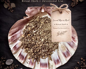 Angelica – Protection • Guidance • Strength – Ritual Herb | Sacred Rose & Root