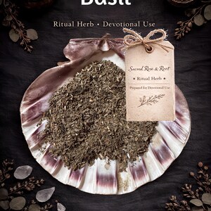 Puede incluir: Imagen de albahaca seca, descrita como una hierba ritual. Se presenta en un plato con forma de concha, con una etiqueta que dice "Sacred Rose & Root". La imagen tiene una estética oscura y rústica, con elementos decorativos adicionales.