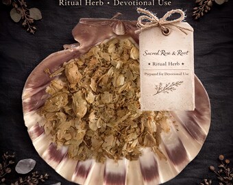 Hops Flowers – Peaceful Sleep • Dreams • Calm – Ritual Herb | Sacred Rose & Root