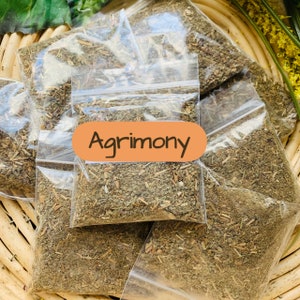 Agrimony Herb - Protection, Sleep in Witchcraft Hoodoo Voodoo Wicca Pagan Rituals Spells