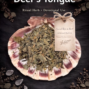 Deer Tongue – Communication • Attraction • Eloquence – Ritual Herb | Sacred Rose & Root