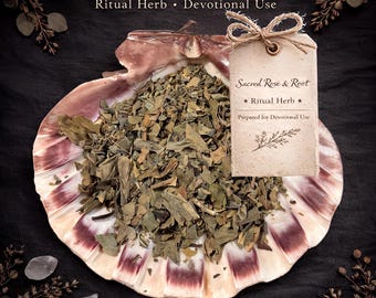Deer Tongue – Communication • Attraction • Eloquence – Ritual Herb | Sacred Rose & Root