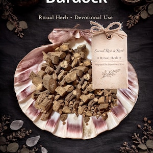 Burdock Root – Protection • Cleansing • Grounding – Ritual Herb | Sacred Rose & Root