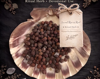 Hawthorn Berries – Protection • Love • Heart Healing – Ritual Herb | Sacred Rose & Root