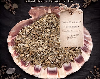 Hyssop – Spiritual Cleansing • Purification • Uncrossing – Ritual Herb | Sacred Rose & Root