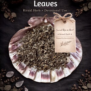 May include: A display of dried blackberry leaves, presented in a decorative shell-shaped dish. A tag tied with twine reads "Sacred Rose & Root, Ritual Herb, Prepared for Devotional Use." The image has a dark, rustic aesthetic, with additional elements like a mortar and pestle.