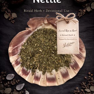 Brennnesselblatt – Schutz • Entkreuzung • Umkehrung – Ritualkraut | Heilige Rose & Wurzel