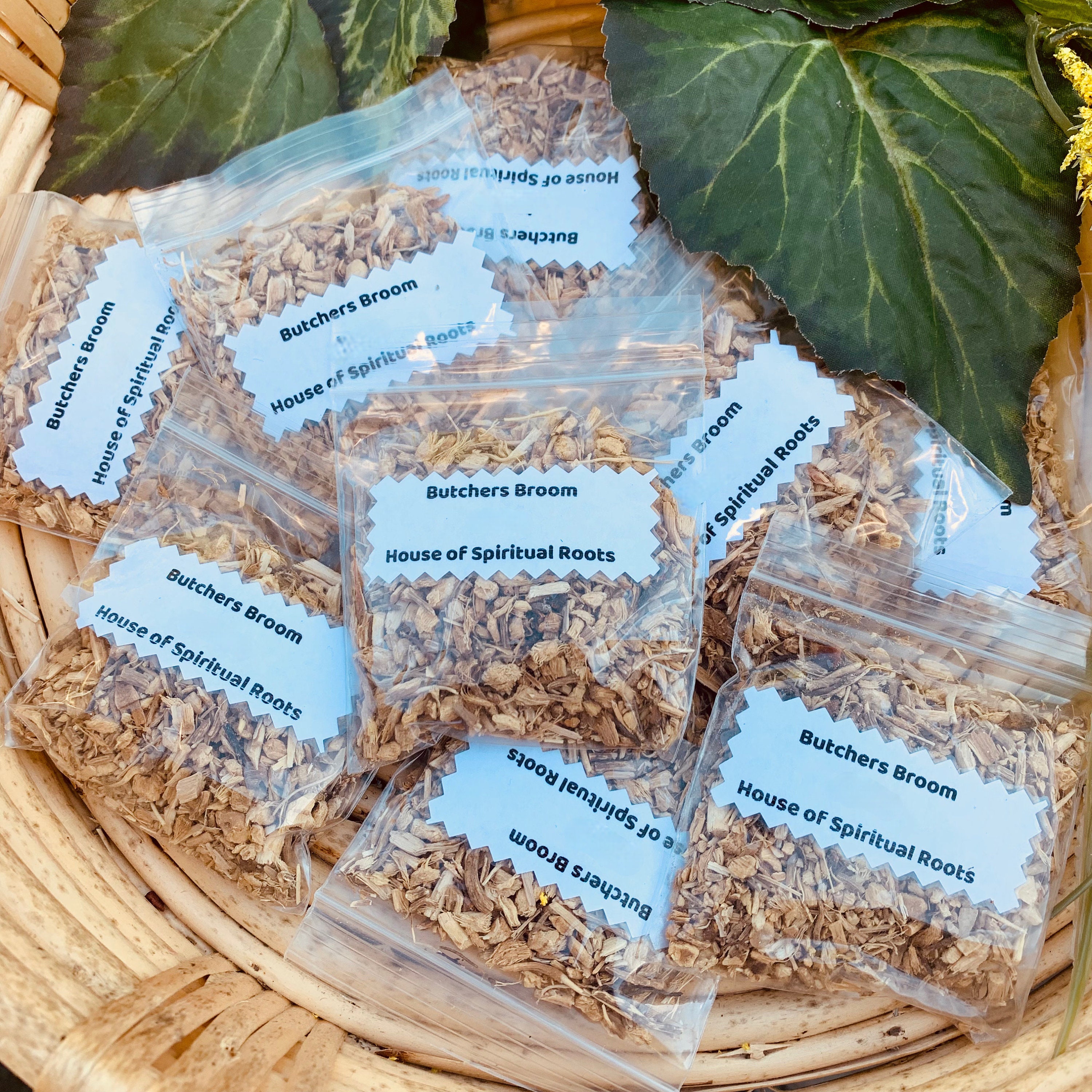 Butchers Broom Herb Fairies Protection Divination Psychic Etsy