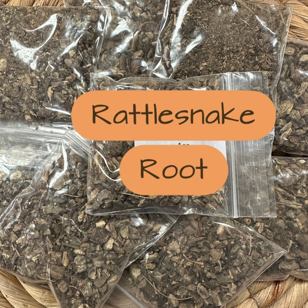 Rattlesnake herb, Snake herb - Meditation, Peace, Protection Witchcraft Hoodoo Voodoo Wicca Pagan Rituals Spells