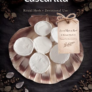 Cascarilla en poudre – 6 tasses en vrac | Poudre de coquille d'oeuf blanche | Rituel protecteur et nettoyant | Fourniture de bibelots