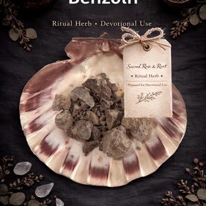Könnte beinhalten: Ein Bild mit Benzoe, einem Ritualkraut, präsentiert in einer Muschel. Der Text auf dem Etikett lautet "Sacred Rose & Root" und "Ritual Herb". Das Bild hat eine dunkle, mystische Ästhetik, mit einer Kerze und einem Mörser und Stößel im Hintergrund.