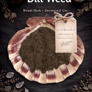 ディルの葉 – 法廷での働き • 恩恵 • 解呪 – 儀式のハーブ | セイクリッドローズ＆ルート