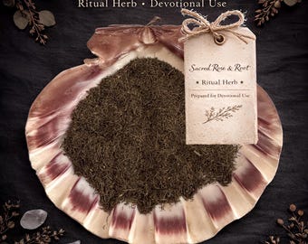 Dill Leaf – Court Work • Favor • Uncrossing – Ritual Herb | Sacred Rose & Root