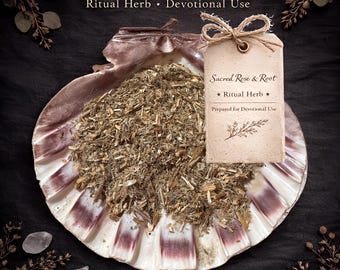Blessed Thistle – Protection • Uncrossing • Restoration – Ritual Herb | Sacred Rose & Root