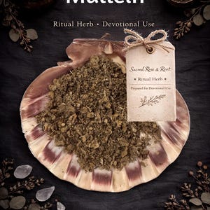 Gordolobo – Protección • Trabajo espiritual • Coraje – Hierba ritual / Rosa sagrada y raíz