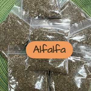 Alfalfa Herb - Prosperity, Money in Witchcraft Hoodoo Voodoo Wicca Pagan Rituals Spells