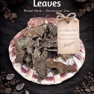 Patchouli Leaves – Money • Attraction • Earth Energy – Ritual Herb | Sacred Rose & Root