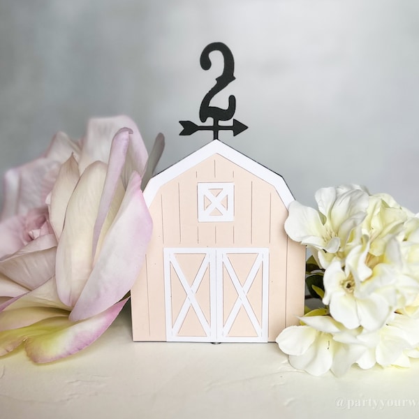 Mini Pink Barn Cake topper with Age, Glitter Farm Party Decor